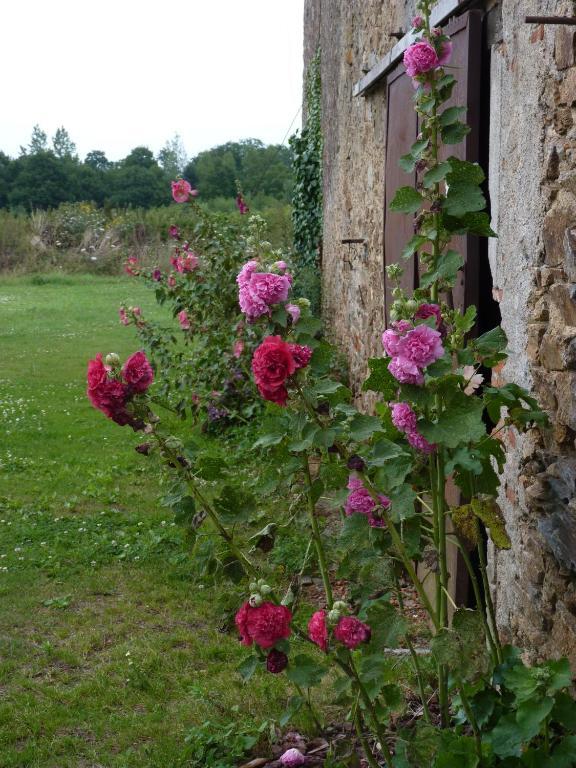 Chambres D'Hotes Le Chateau Rouge Saint-Germain-sur-Moine ภายนอก รูปภาพ